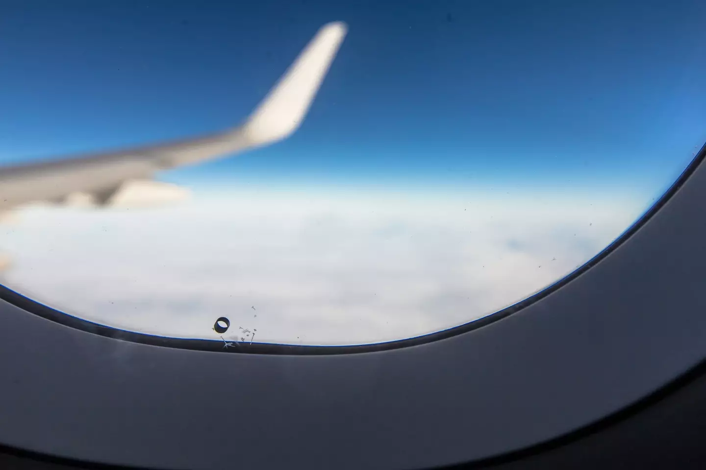 Why don plane windows have those holes?