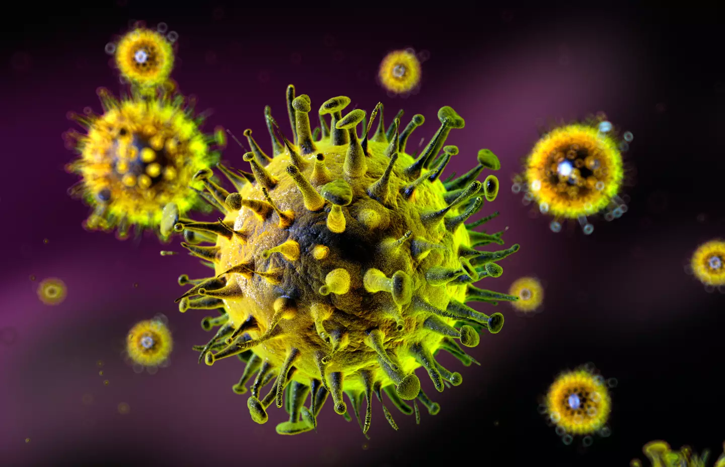 The variant is highly infectious (Getty Stock Image)