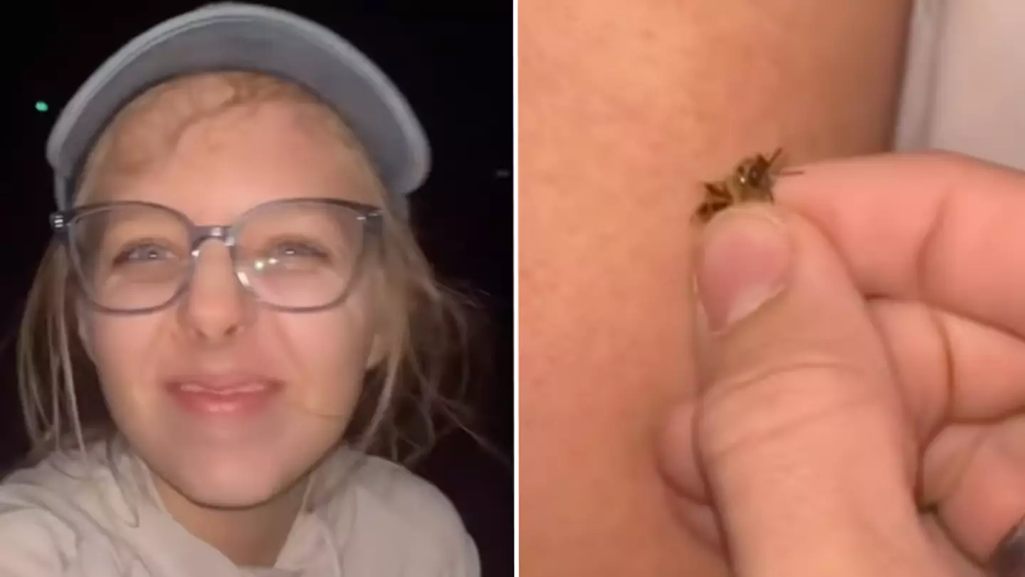 Instagram/@bartons_bees