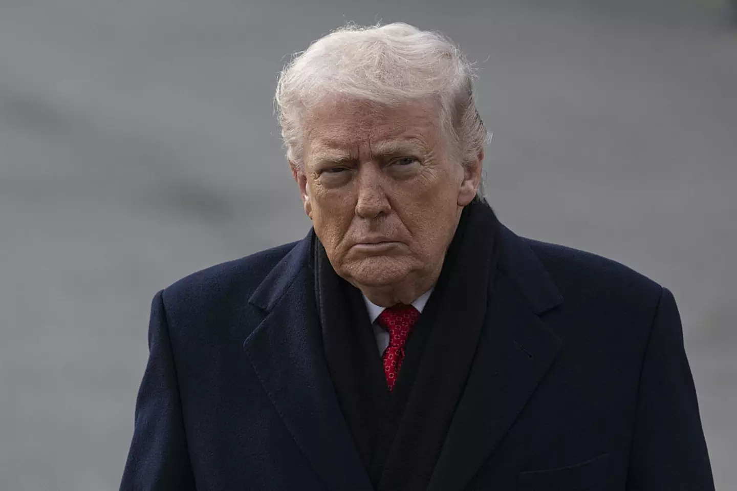 US President Donald Trump has invited several world leaders to join his so-called 'Board of Peace' (Anadolu / Contributor / Getty Images)