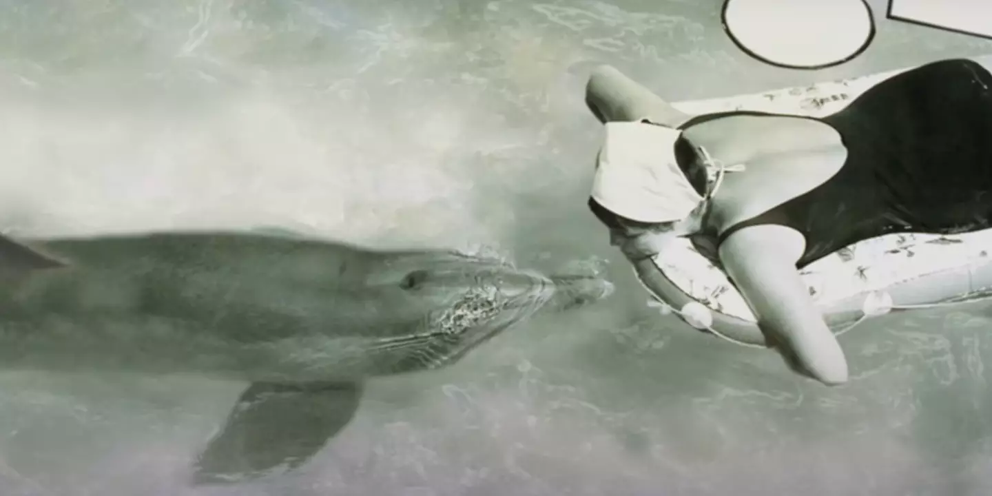 Peter died following the experiment (BBC)