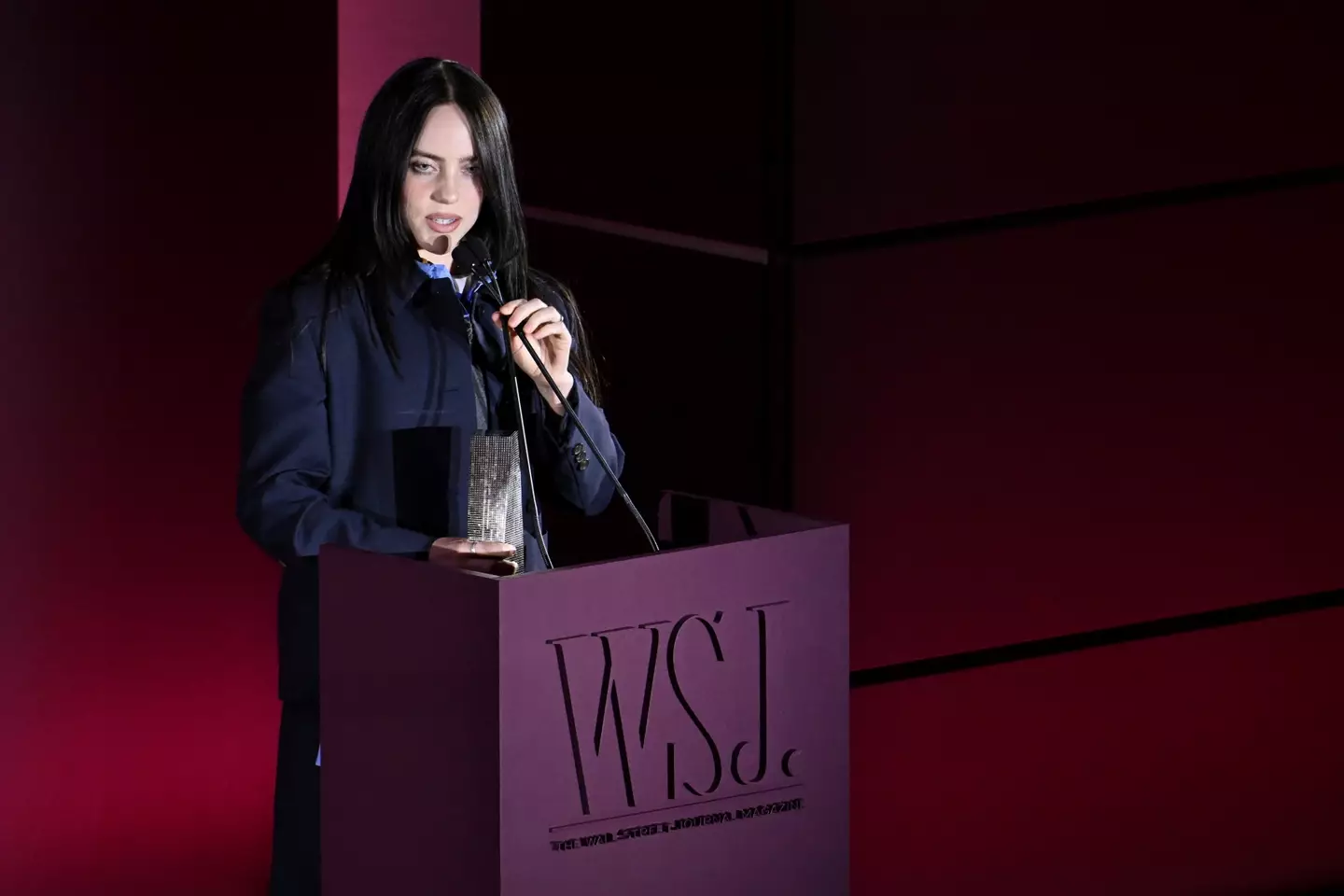 The singer took aim at a number of billionaires (Noam Galai/Getty Images for WSJ. Magazine Innovators Awards)