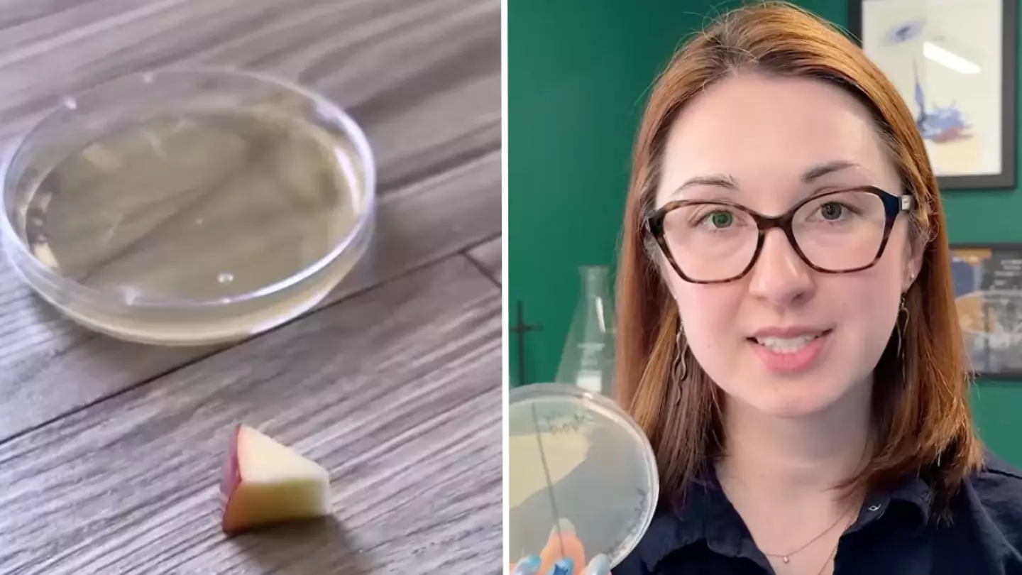 Scientist puts 'five-second rule' to the test and the results are disturbing