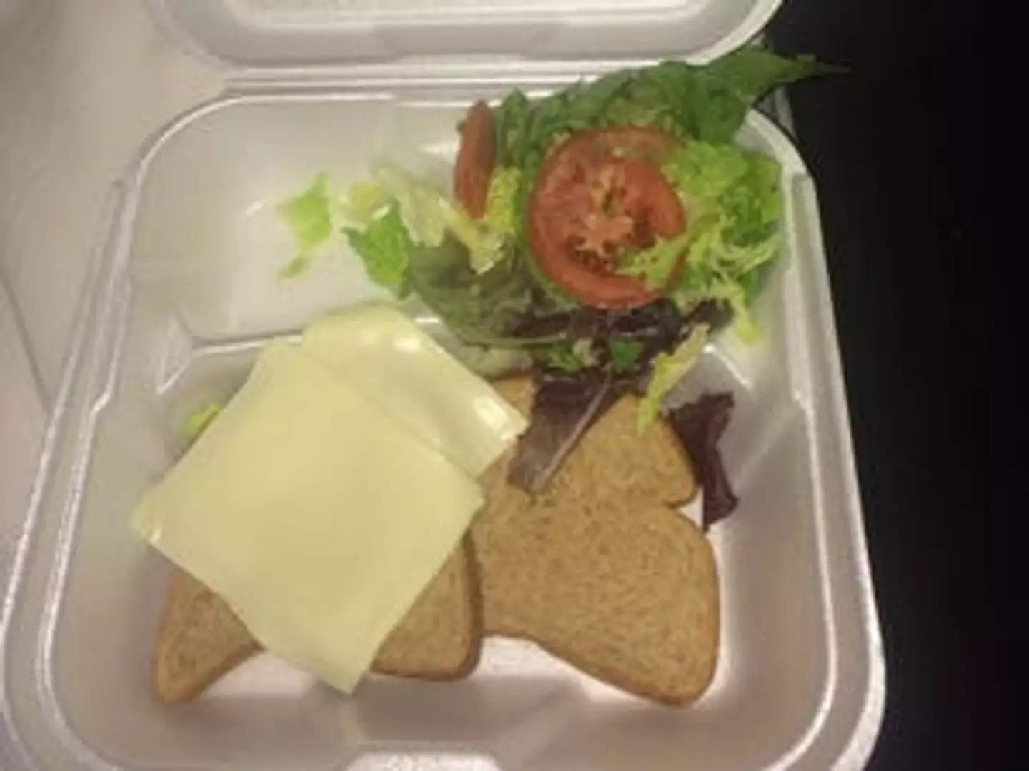 People compared it to the food received at the Fyre Festival. (