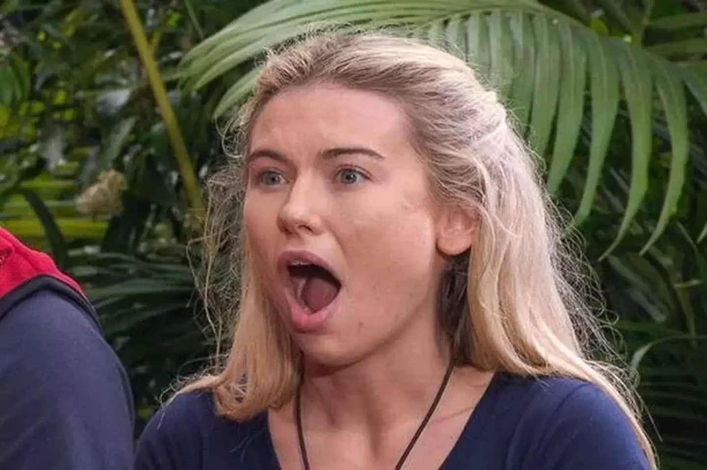 Georgia also managed to smuggle in chicken fillet bra padding (ITV)