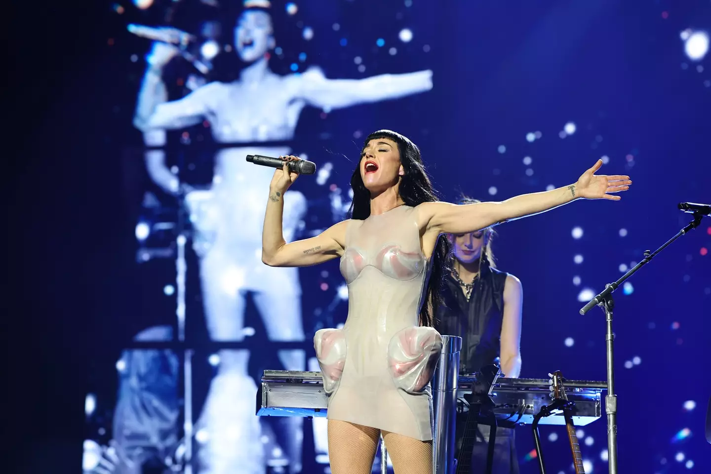 During a Lifetimes Tour performance, Katy Perry called herself that 'most hated person on the internet' (Theo Wargo/Getty Images for Katy Perry)