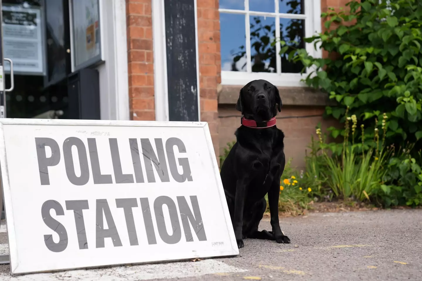 A black Labrador outside a polling station in Warwick. (PA)