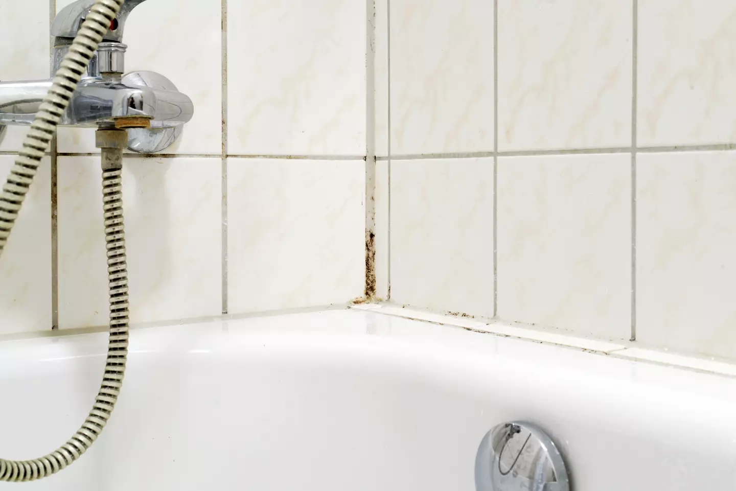 Bathrooms are the perfect environment for mould to grow (