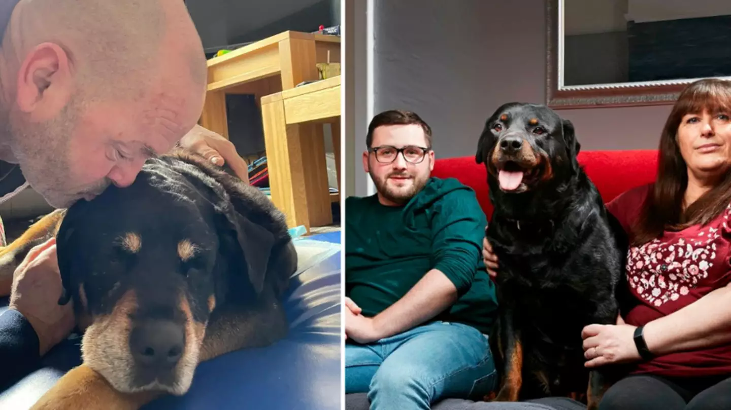 Gogglebox Stars Heartbroken As Beloved Rottweiler Dies