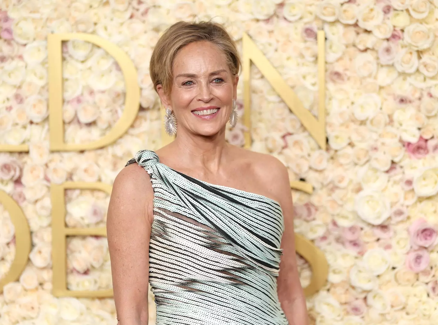 Sharon Stone reflected on her 1992 movie (Matt Winkelmeyer / Staff / via Getty)