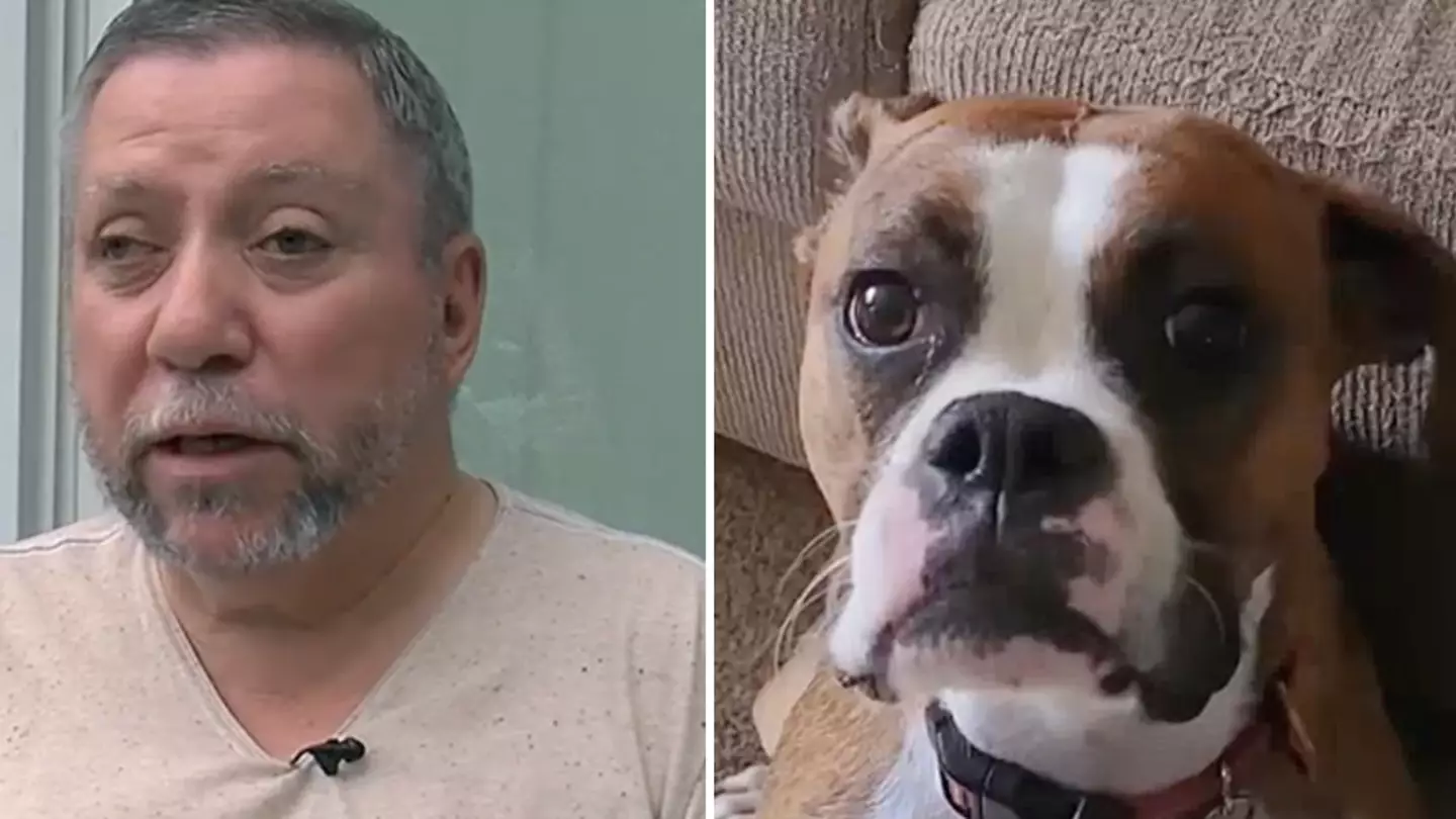 Devastated man says dog died after taking popular medication