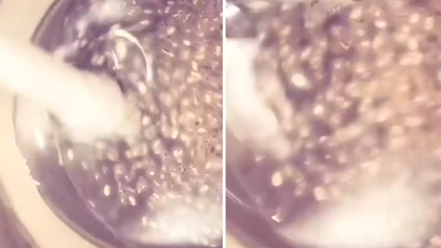 Gen Z are now obsessed with ‘tadpole water’ trend and it’s pretty controversial