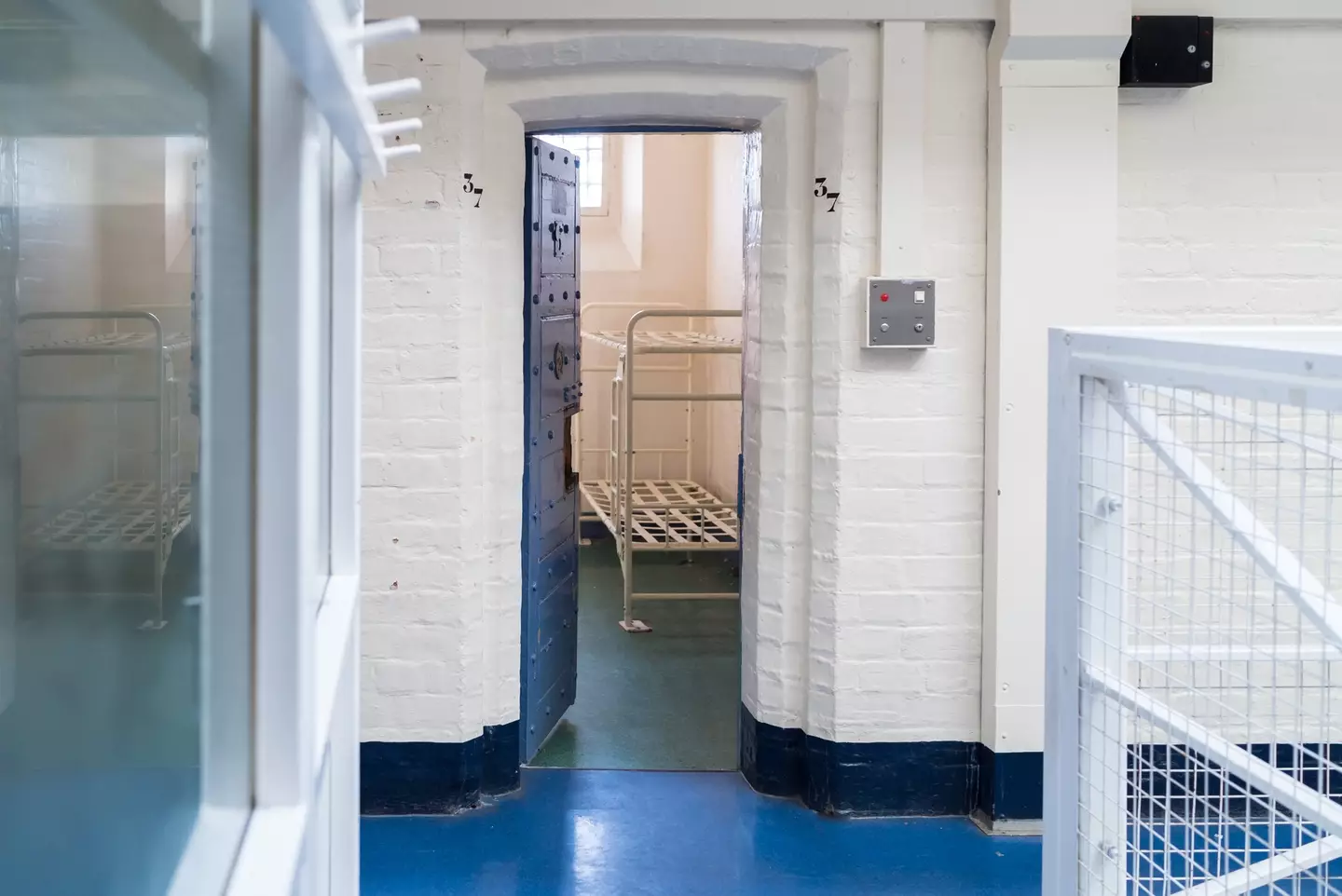 Chemical castration is currently being piloted in southwest England (Matthew Troke / Getty Images)