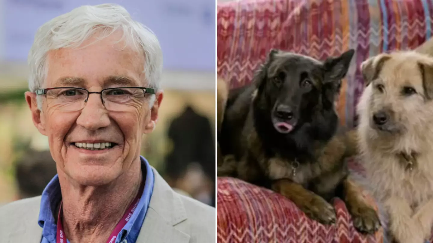 Paul O'Grady fans moved to tears by touching For the Love of Dogs tribute