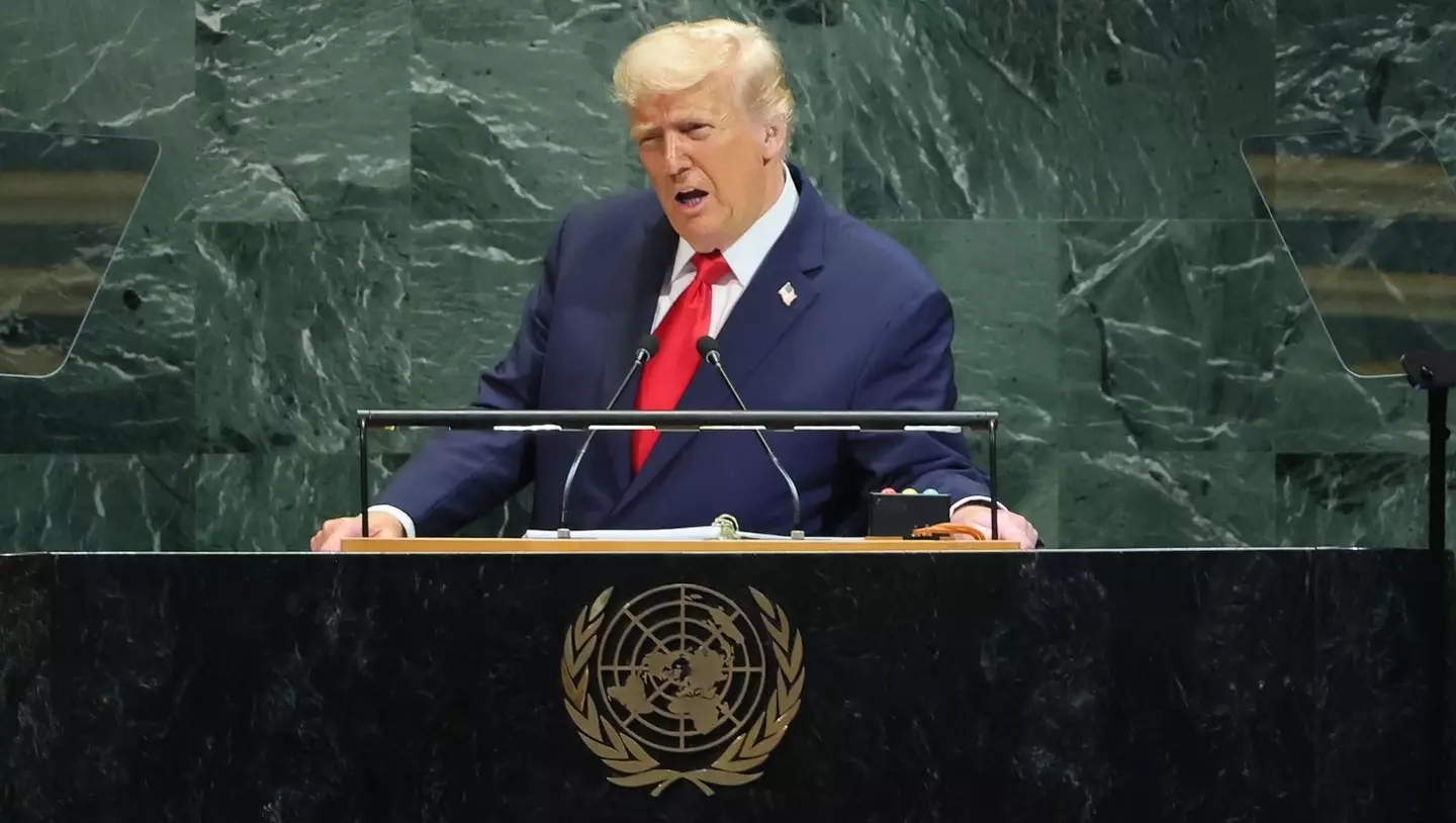 President Donald Trump has complained of a 'triple sabotage' at the UN (Michael M. Santiago/Getty Images)