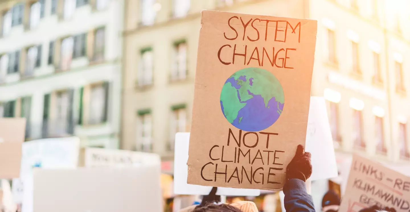 Trump's previously called the climate crisis an 'expensive hoax' (DisobeyArt / Getty Images)
