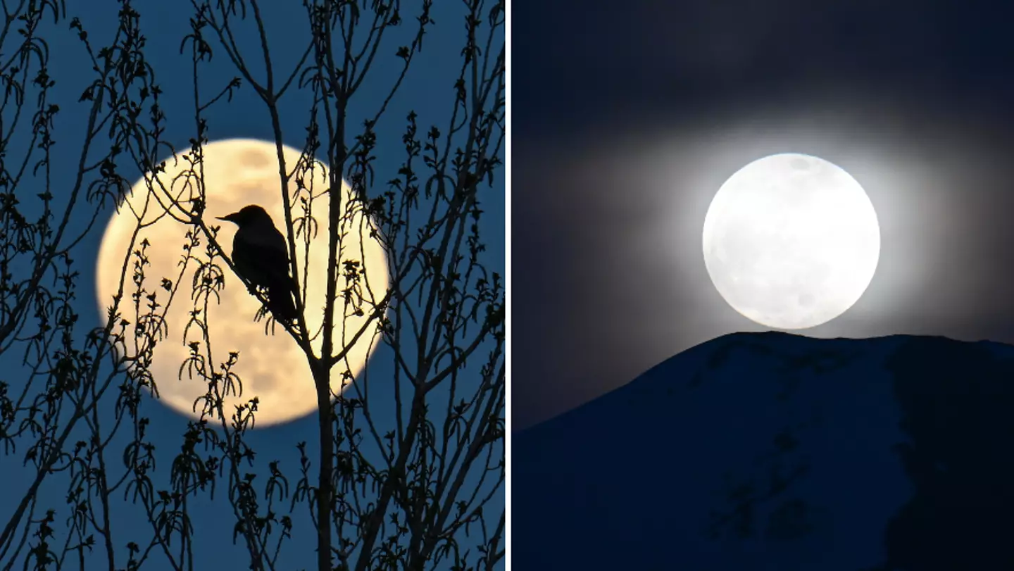 How tomorrow's Flower Moon will affect you according to your zodiac sign