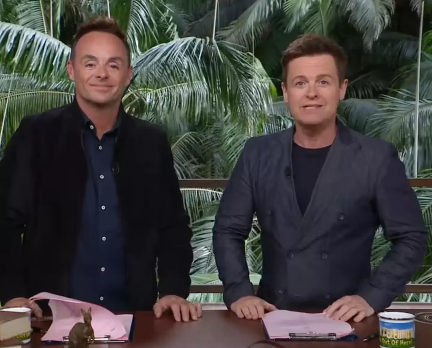 I'm A Celeb viewers were in stitches over Dec's 'burn' (ITV)