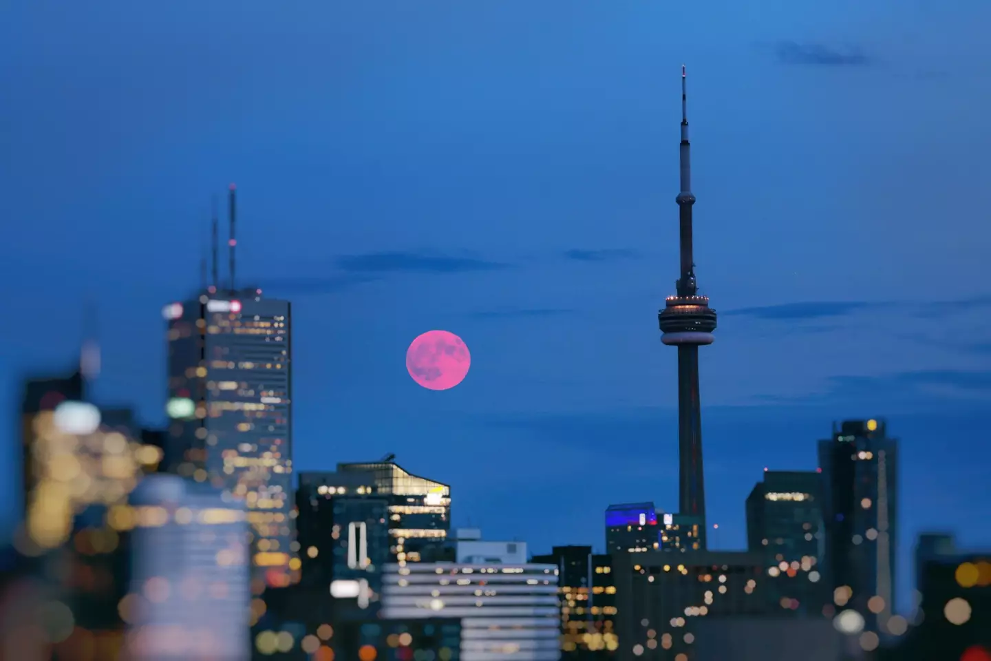 What does the Pink Moon have in store for your star sign? (Katrin Ray Shumukov/Getty)