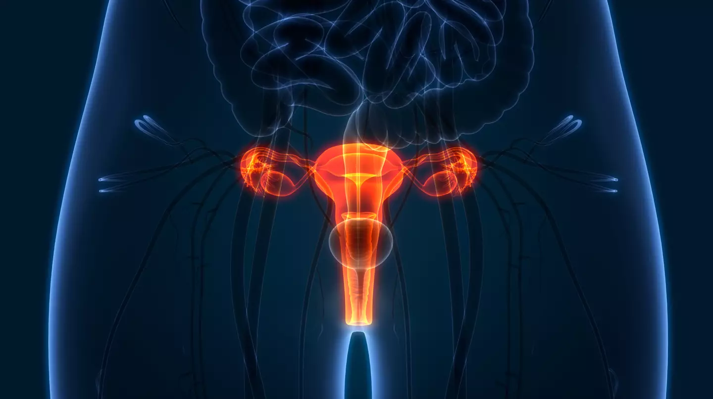 Many women have taken to social media sharing their experiences with their feminine hygiene routine (Getty Stock Images)