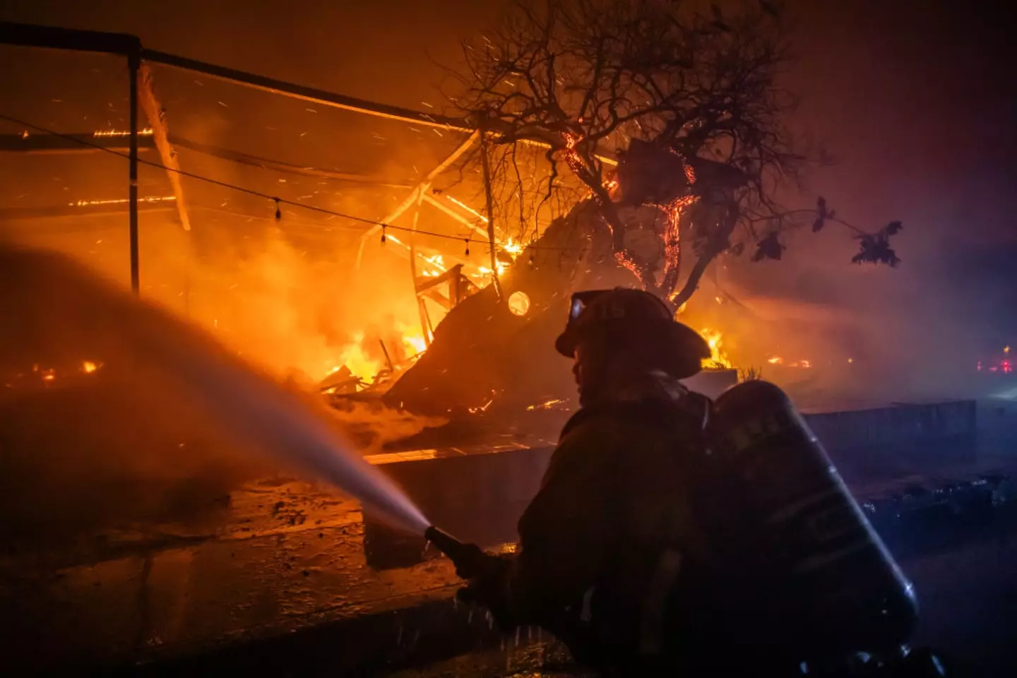 The devastating fires have been spreading across the region (Apu Gomes/Getty Images)