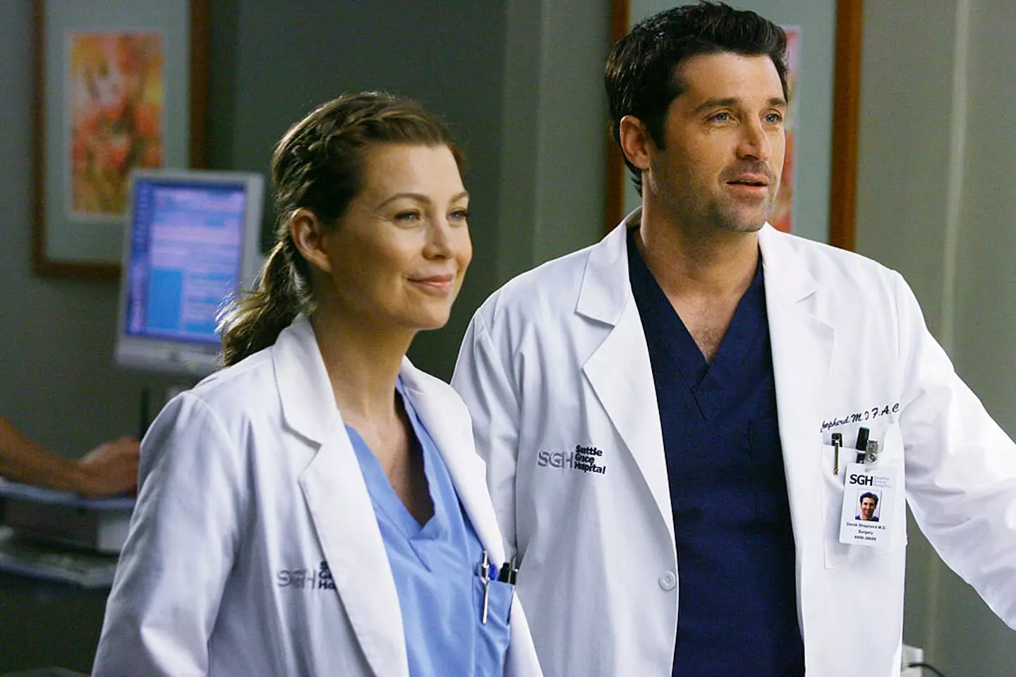 The actress rose to fame as Meredith Grey on Grey's Anatomy - a role she has held since the show's debut in 2005 (Scott Garfield/Disney General Entertainment Content via Getty Images)