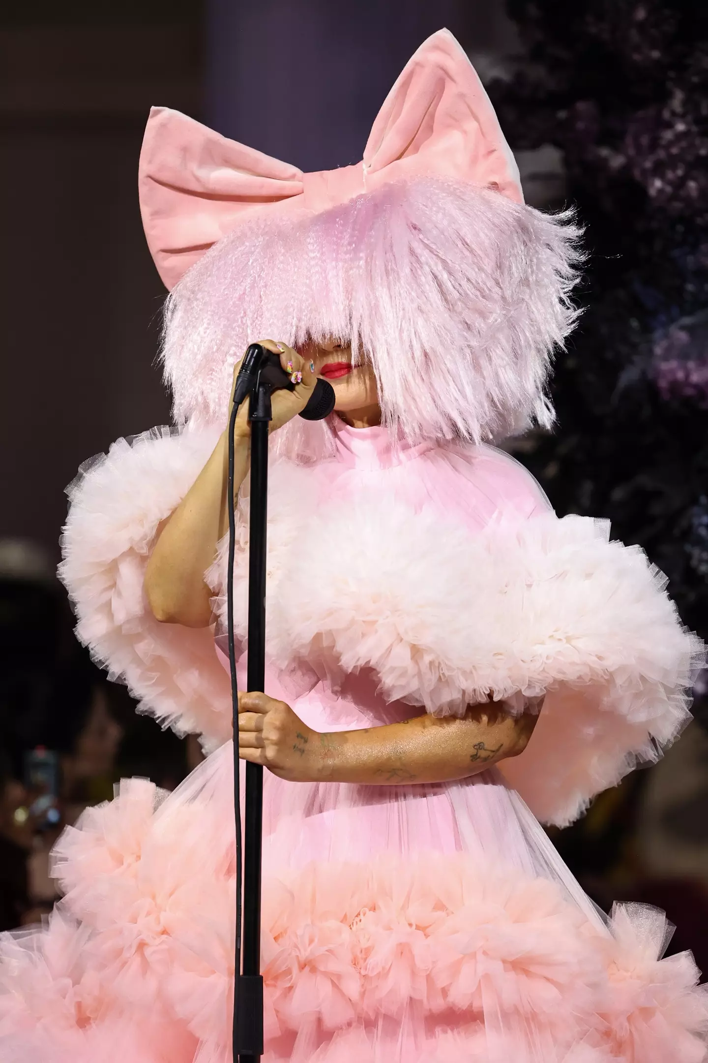 The Aussie singer is known for concealing her face with giant wigs.