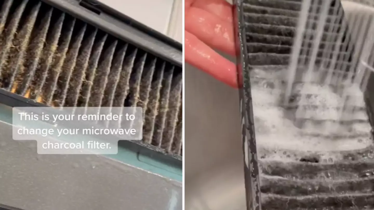 Woman Reveals Secret Filter Compartment On Microwave That Needs Replacing