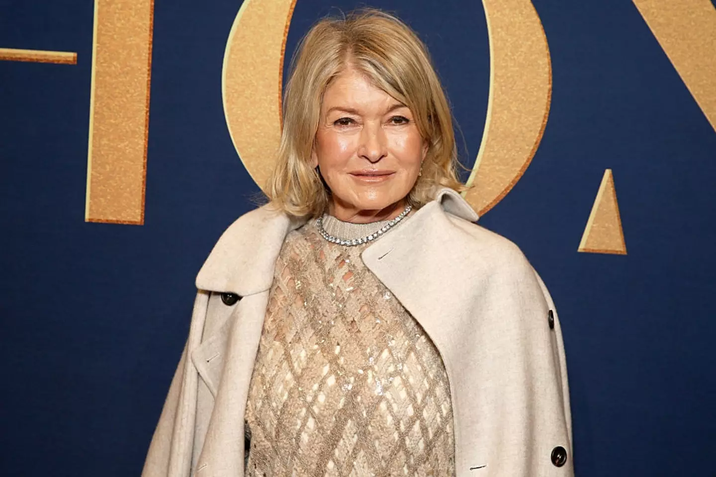 Martha Stewart wasn't scared to share how she really felt about her neighbour Ryan Reynolds (Dominik Bindl / Stringer / Getty Images)