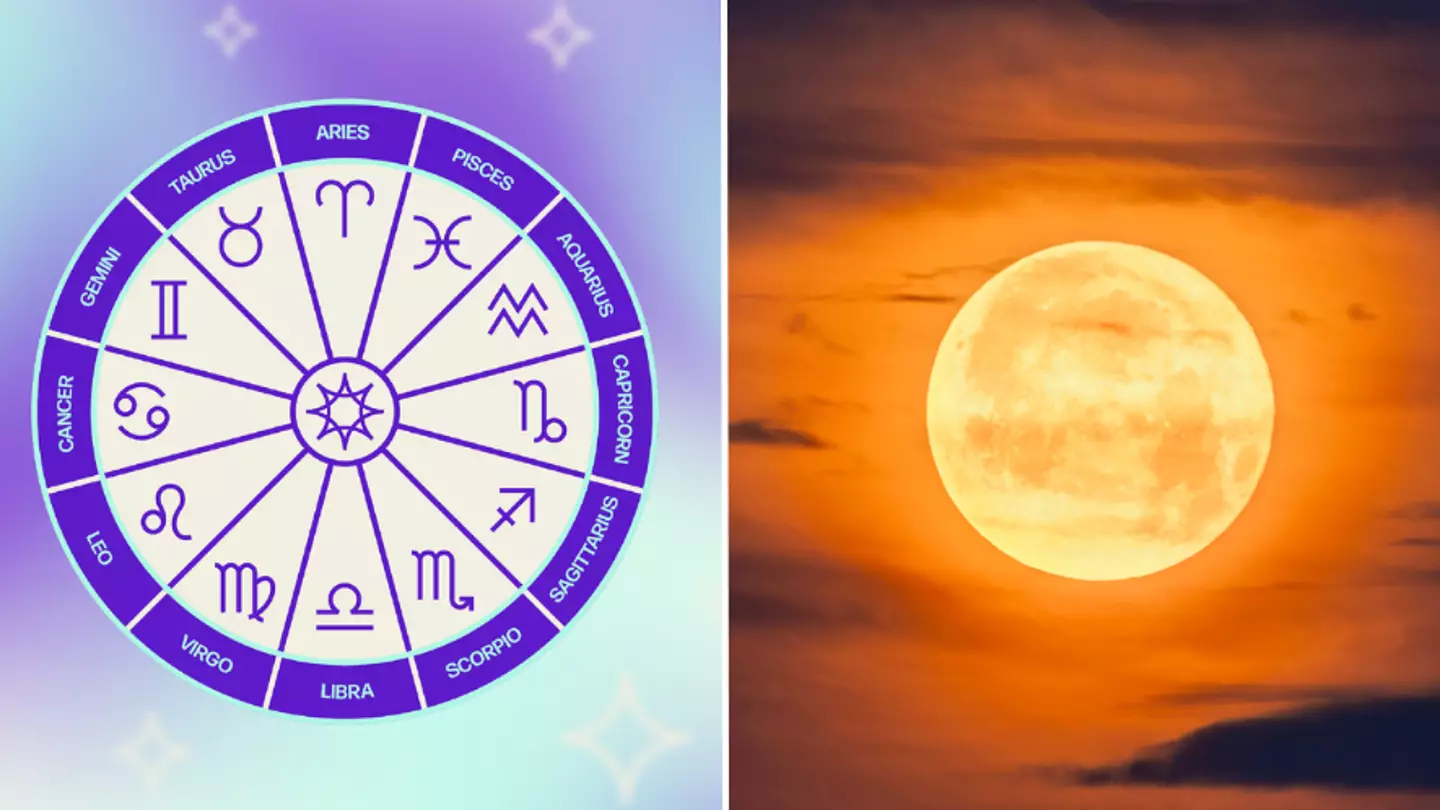 Tyla/Getty Stock Images