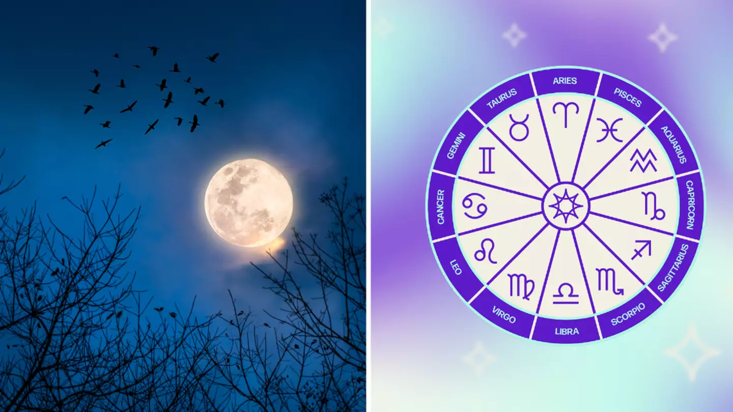 Psychic reveals how your star sign is going to affect you this Halloween