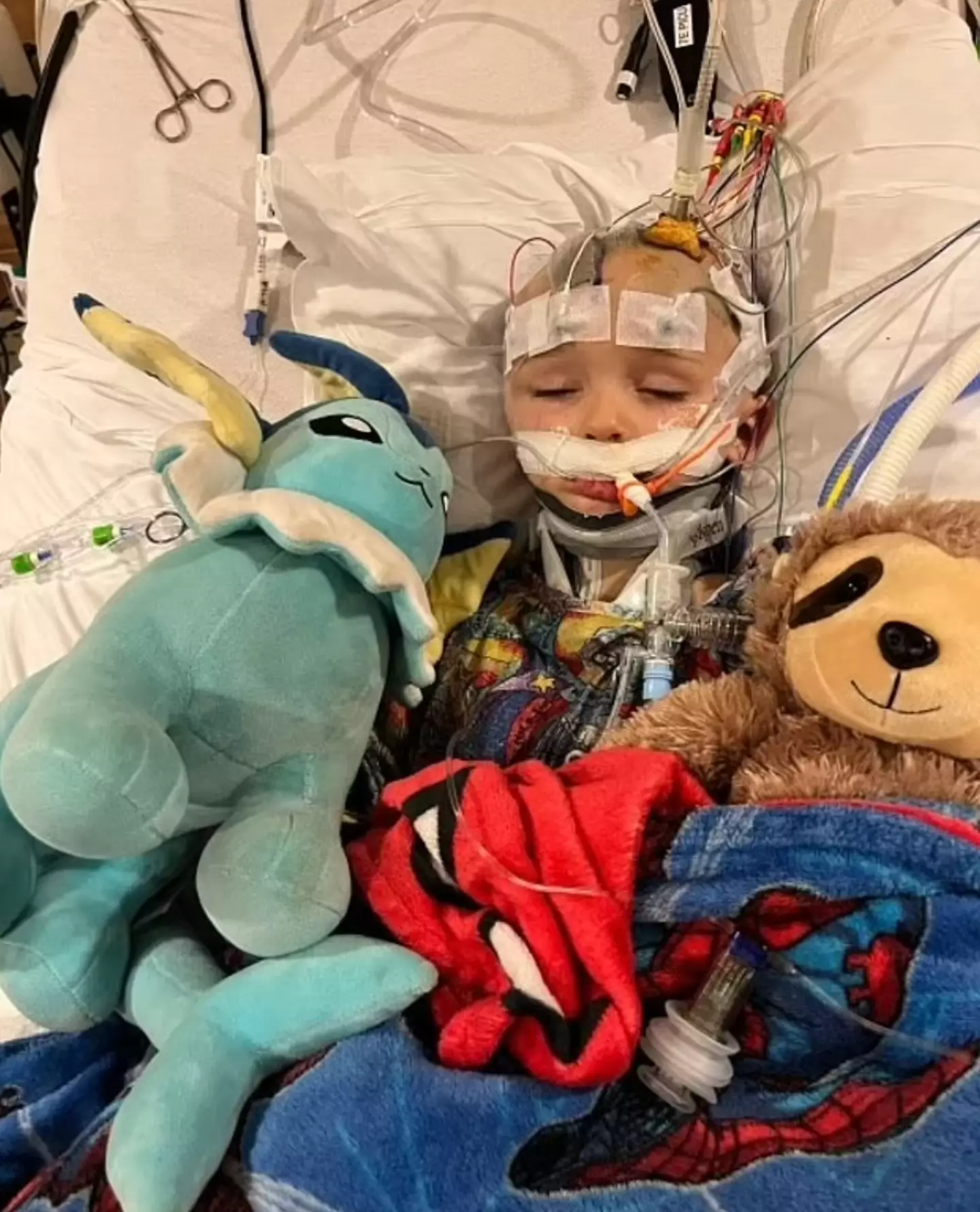 Little Noah is in hospital on life support.