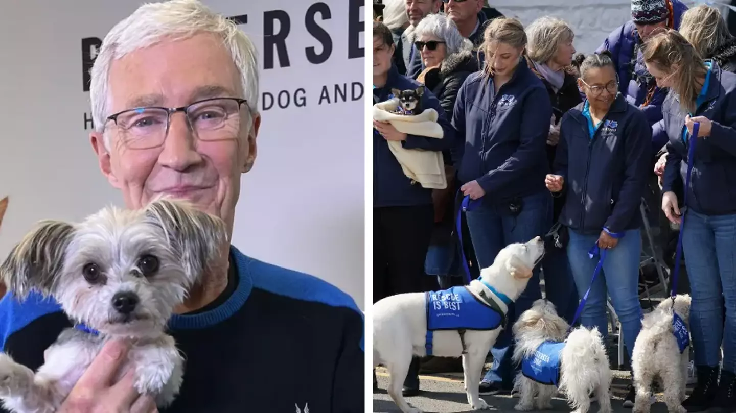 Battersea dogs form guard of honour at Paul O’Grady’s funeral