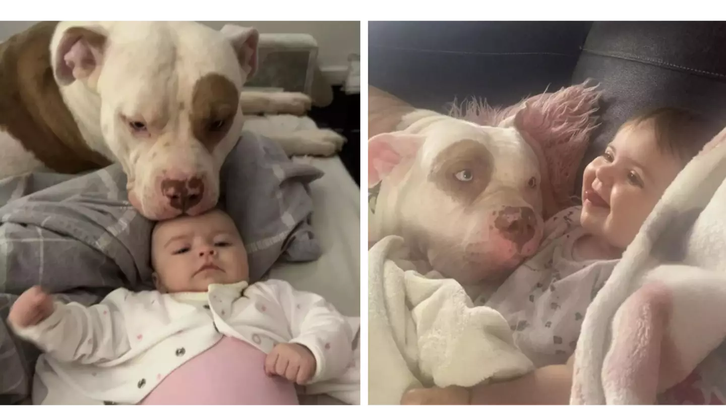 Samantha Wood/Facebook