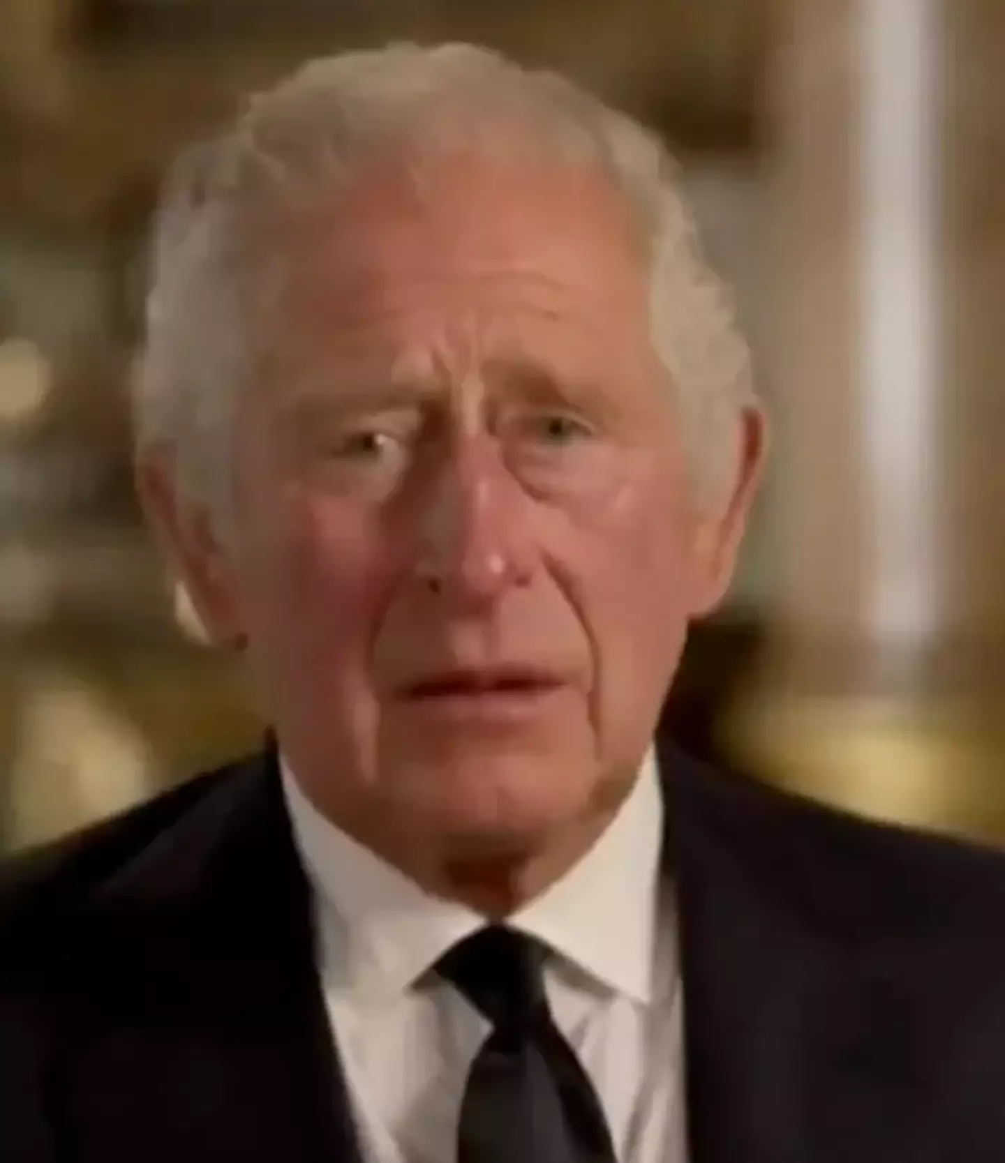 The King said: “I want also to express my love for Harry and Meghan as they continue to build their lives overseas.”