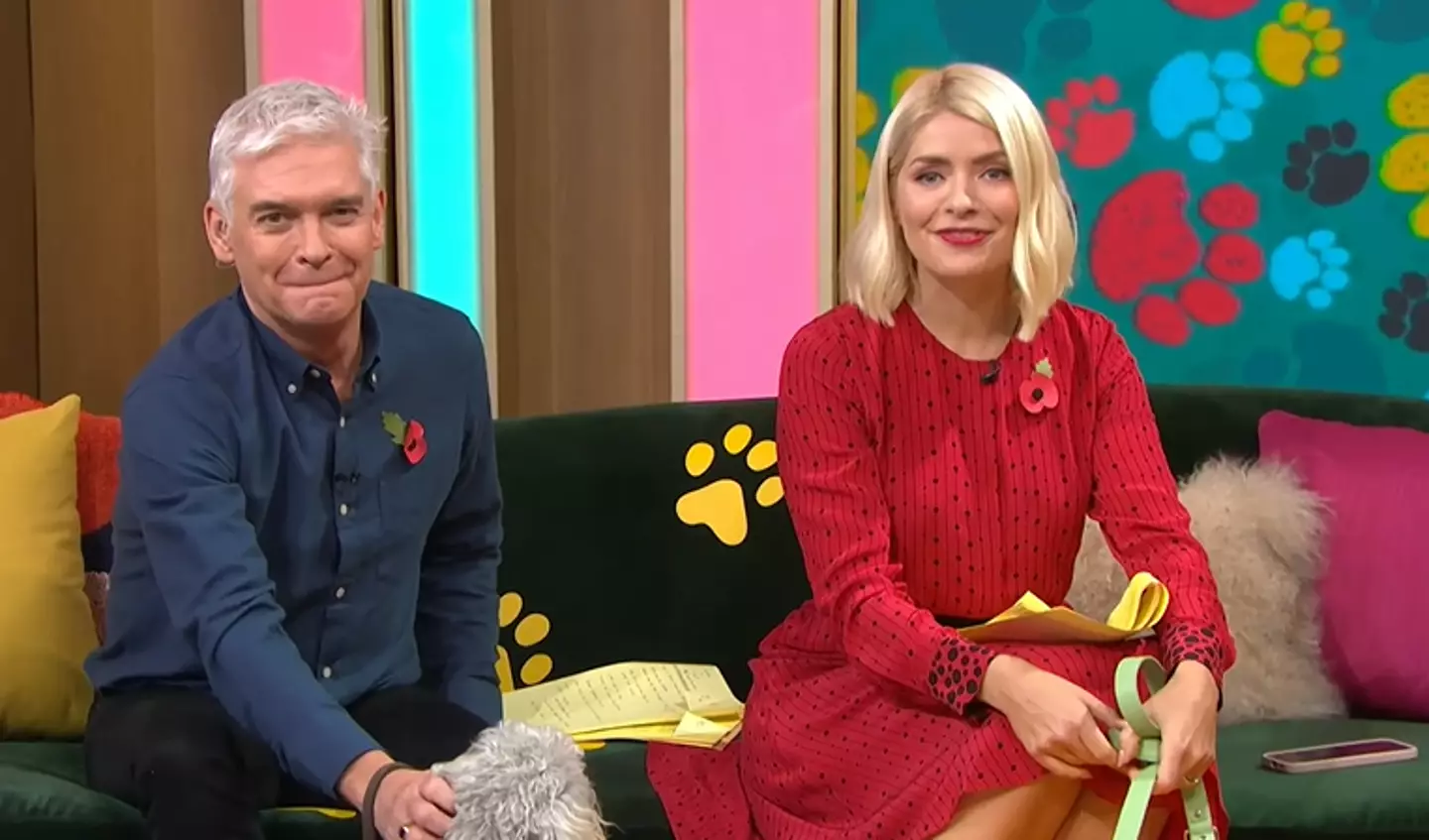The pair also got to play with dogs in this morning's show. [