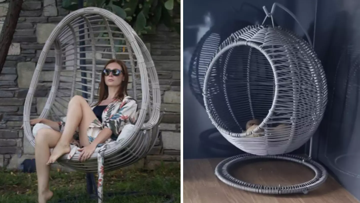 People Left Confused By Woman's Picture Of An 'Egg Chair'