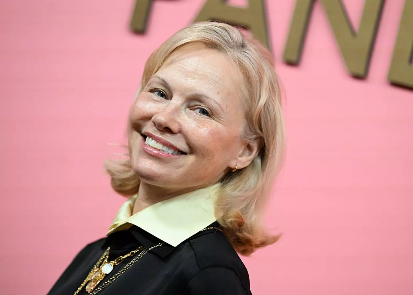 Pamela Anderson has dated some very interesting people (Kristina Bumphrey / Contributor / Getty Images)