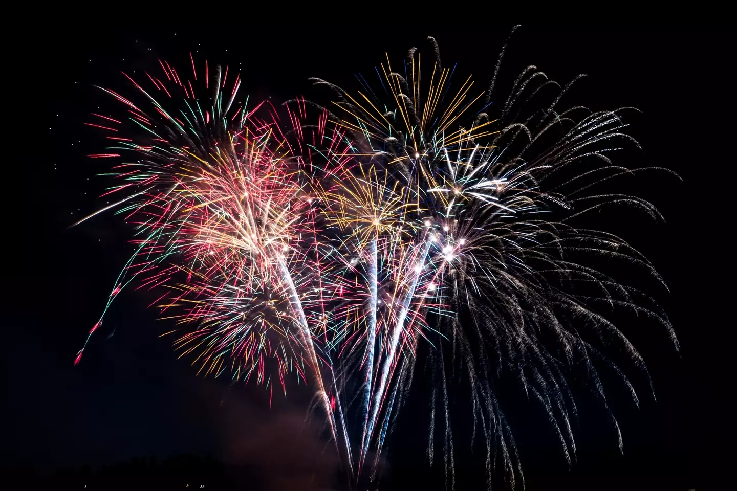 Animal charities are urging people to rethink having private firework displays (