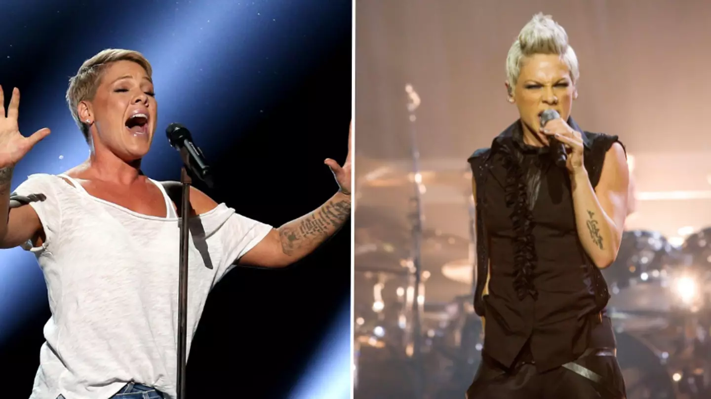P!nk defended after troll says her hips ‘aren’t child-bearing’