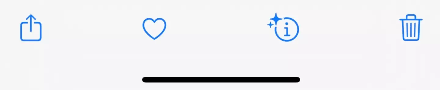 If you click the 'information' tab once you've taken a photo, the laundry-based options will appear. (Tyla)
