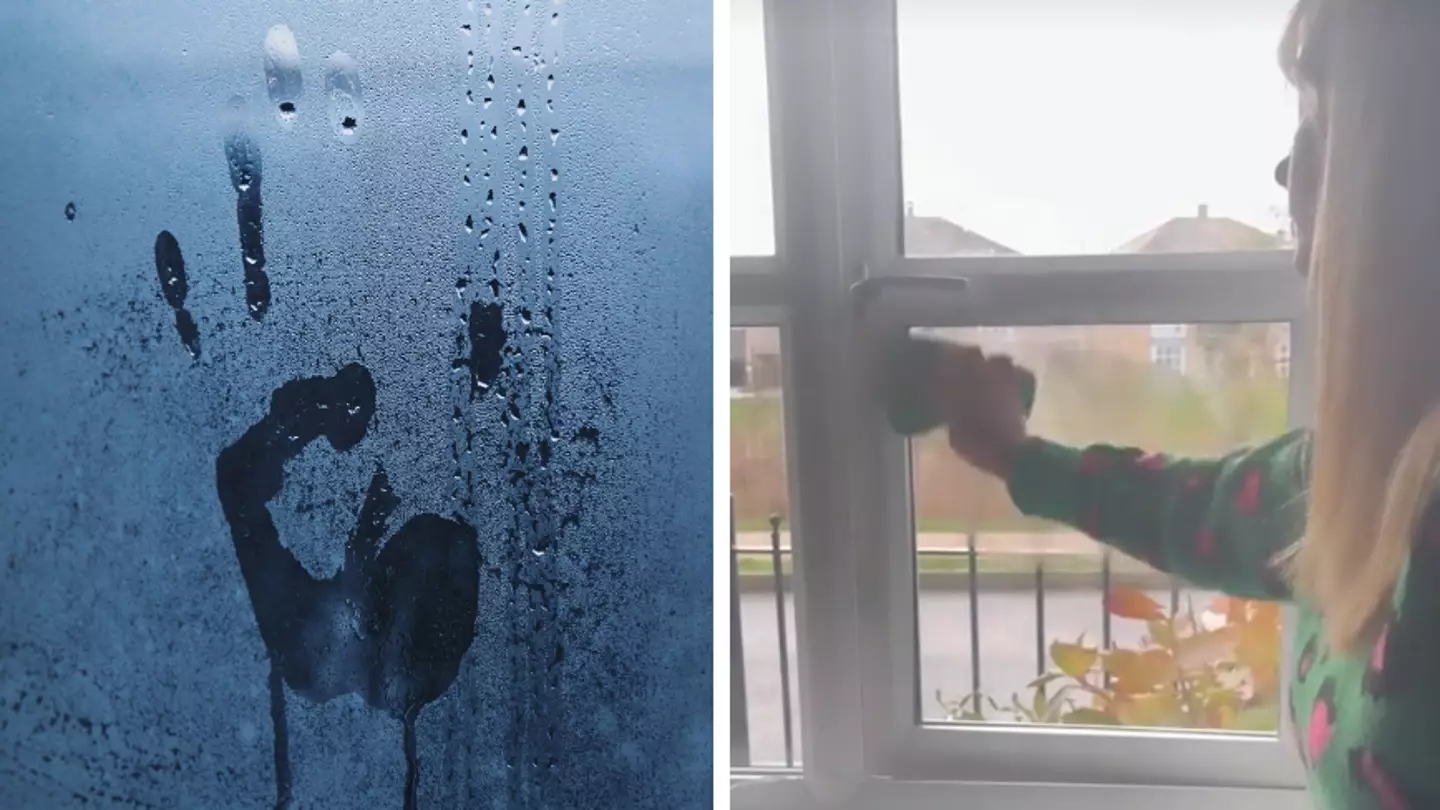 Woman genius hack to stop window condensation when it's chilly outside