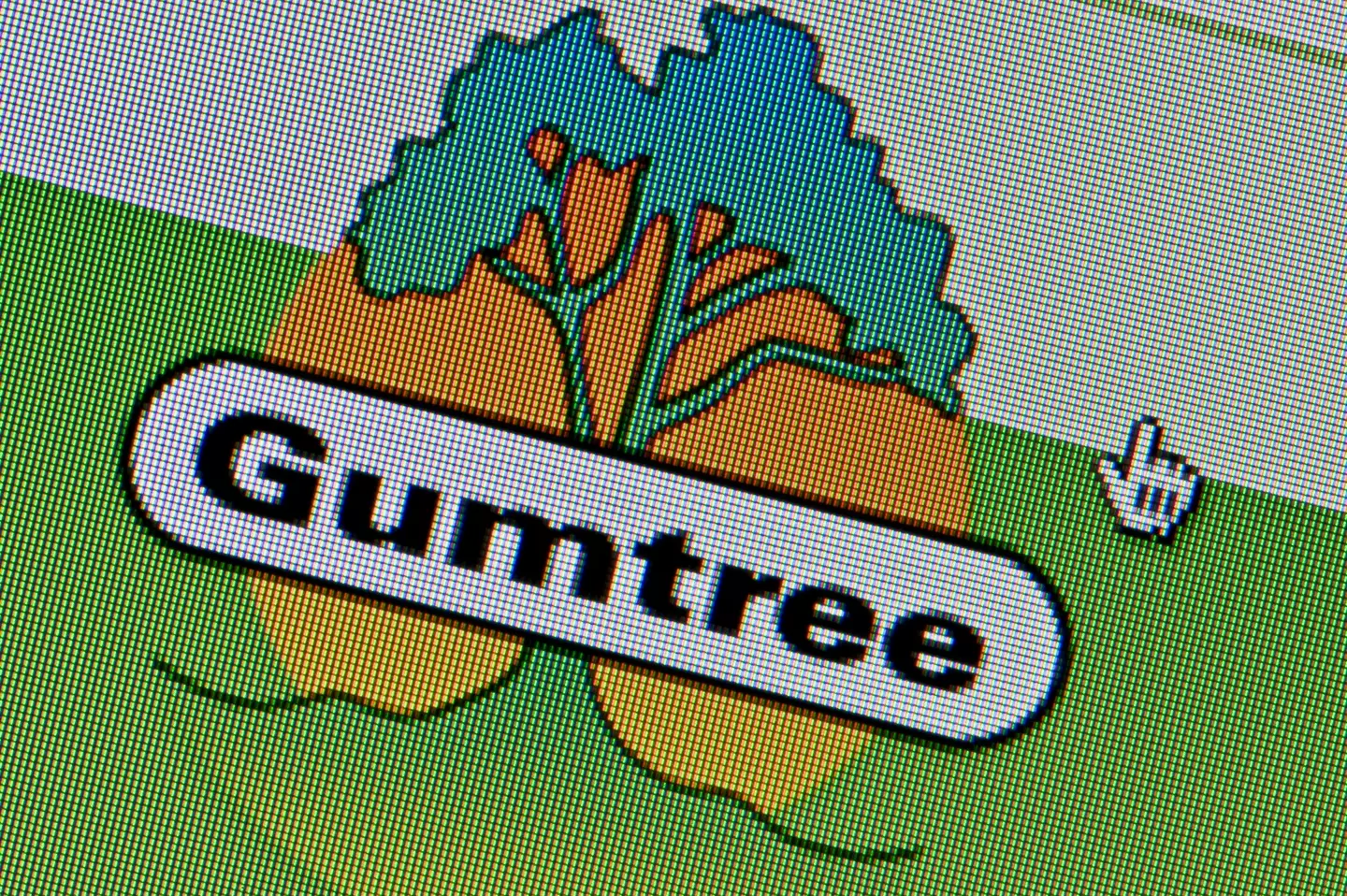 Poppy found the ad on Gumtree (