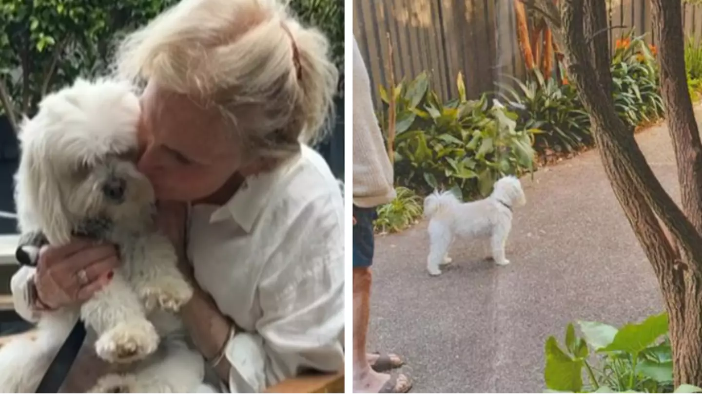 Woman fined £150 for letting pet dog off his lead on her own driveway