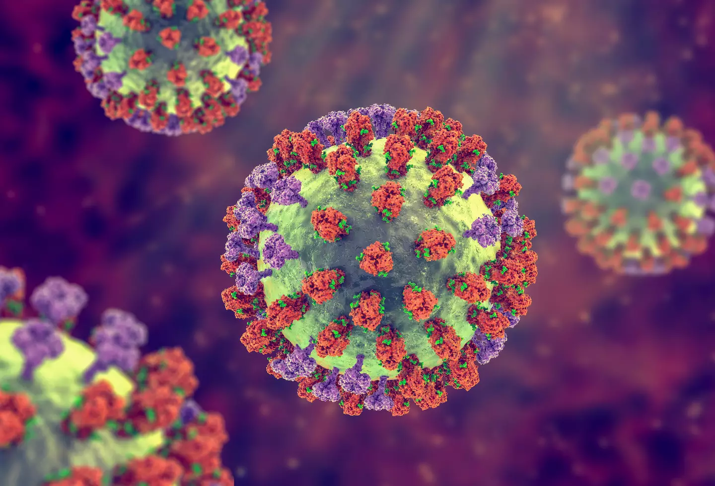 (Getty Stock Images)