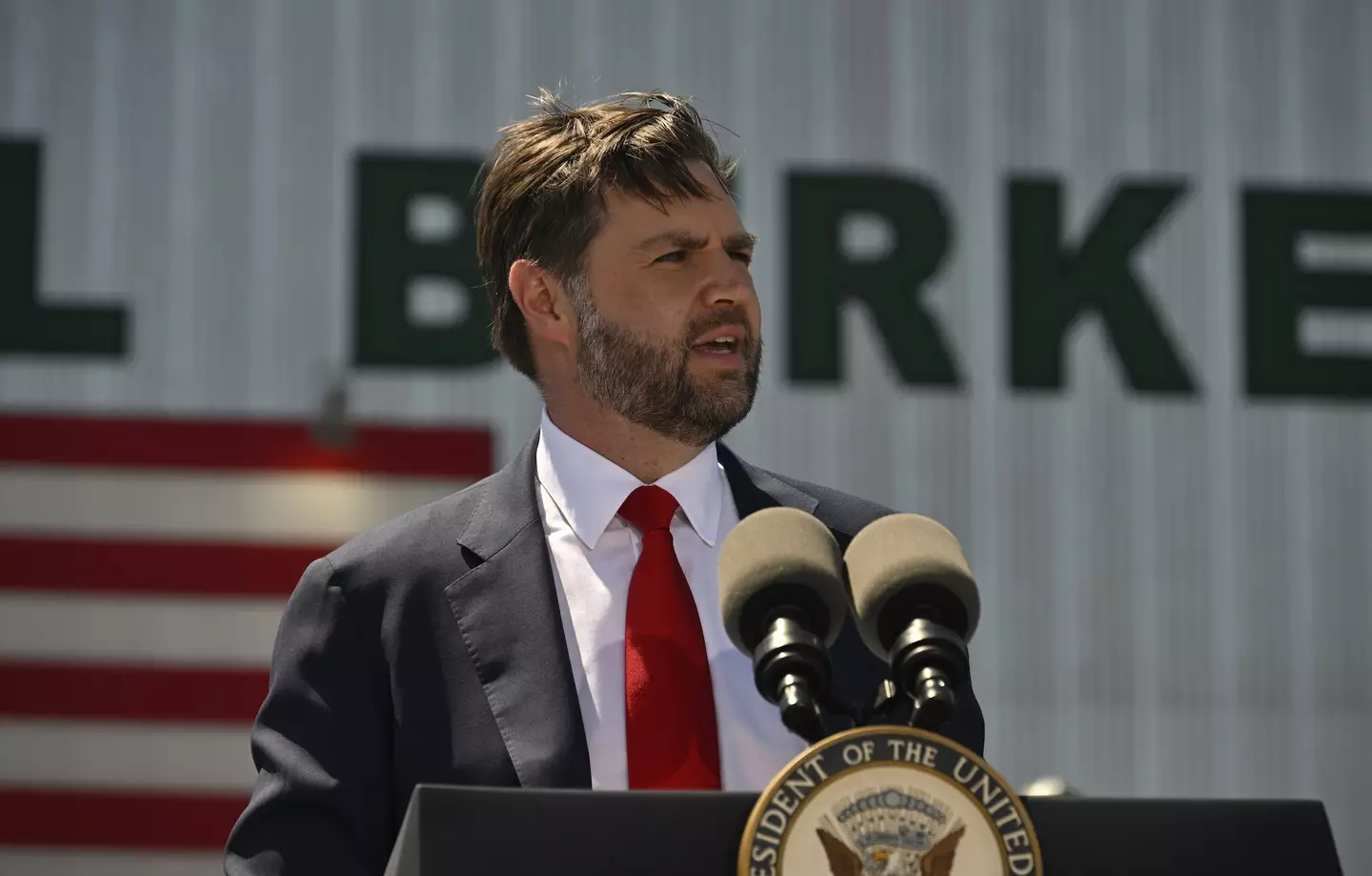 JD Vance says Mike Waltz would be a 'better ambassador' (Peter Zay/Anadolu via Getty Images)