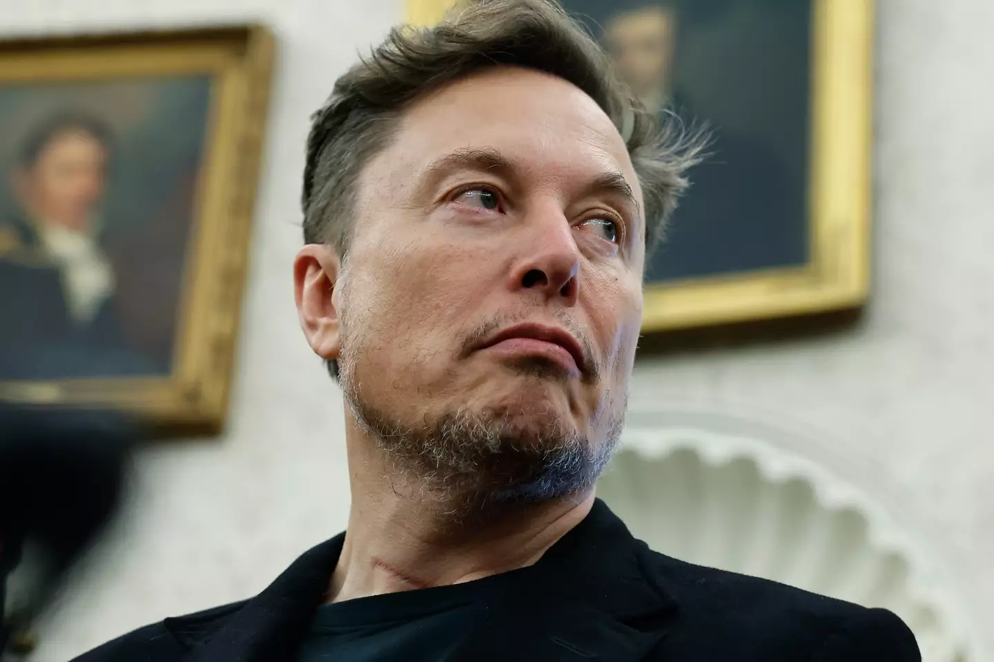 Elon Musk has called Donald Trump's 'Big Beautiful Bill' an 'abomination' (Chip Somodevilla/Getty Images)
