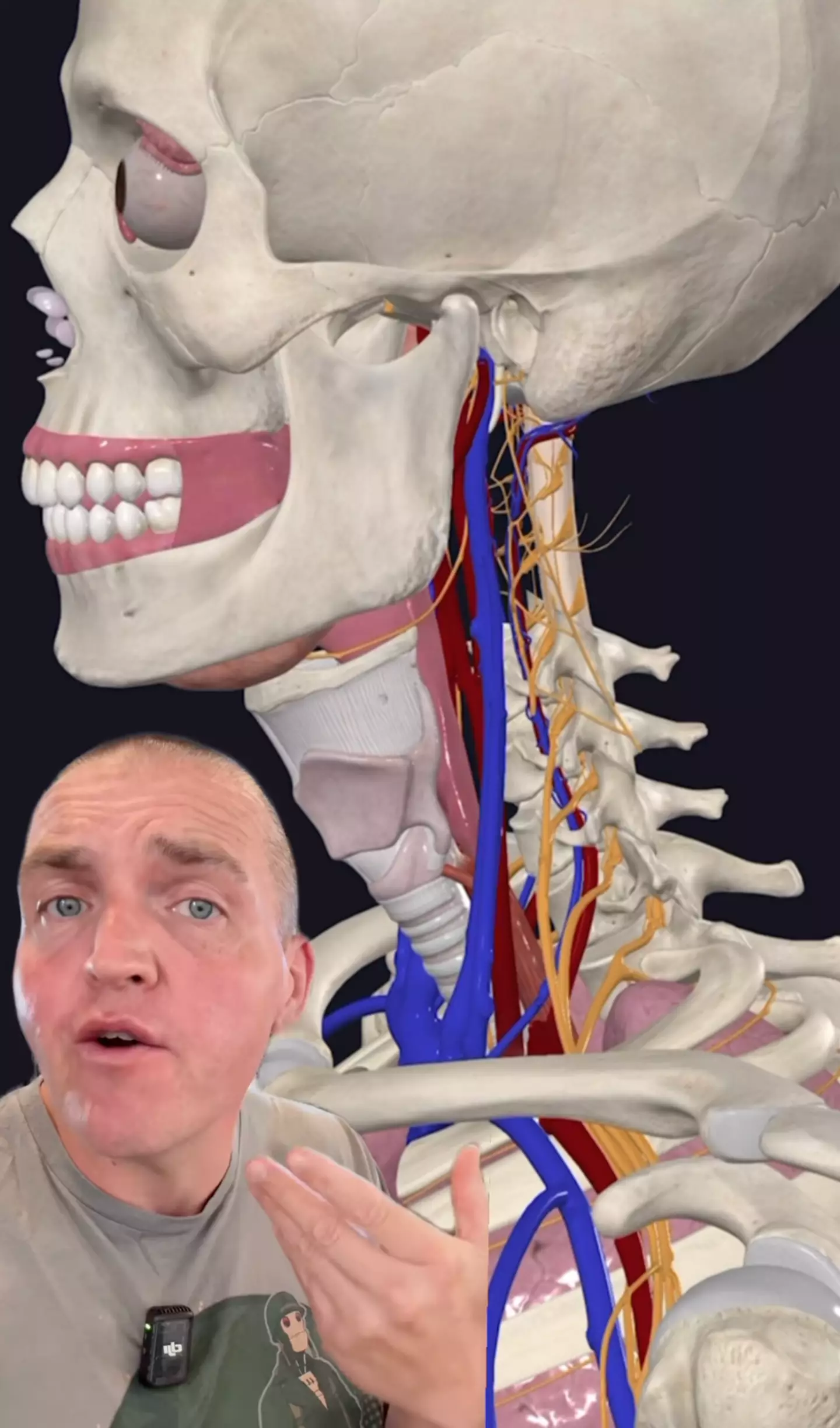 An anatomy expert has explained exactly what was going on in Charlie Kirk's body the moment he was fatally shot (Instagram/scibodytherapy)