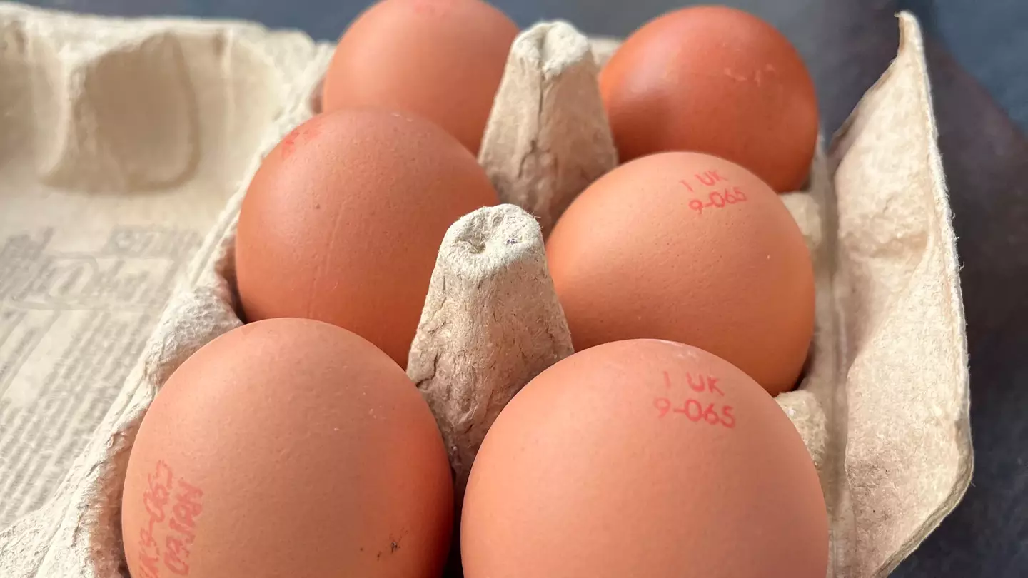 Reason why eggs should only ever be stored the American way