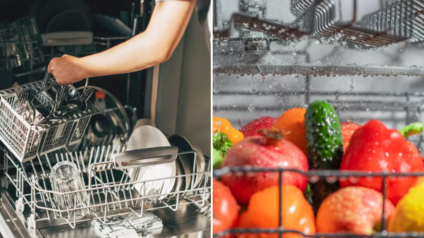 Expert issues warning over 'genius’ dishwasher hack that’s caused controversy online